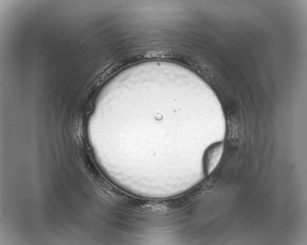 X0000063520648200602172215