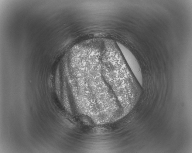 X0000063520650200602172215