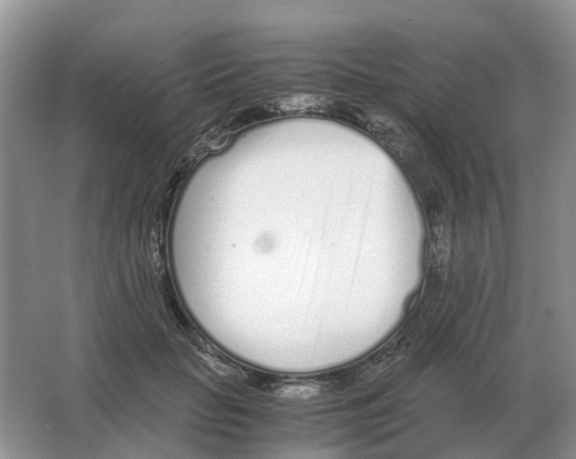 X0000063520653200602172215