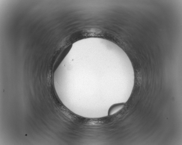 X0000063520657200602172216