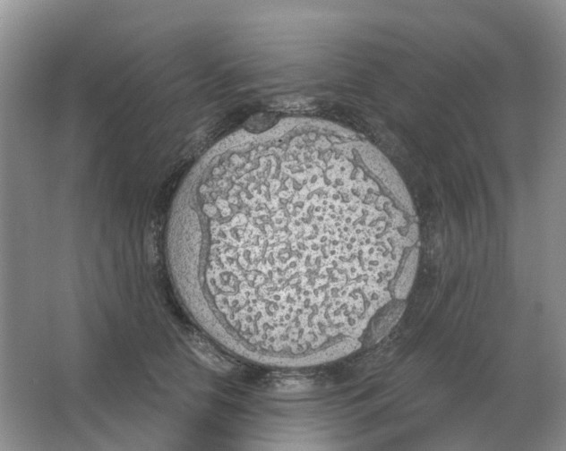 X0000063520658200602172216