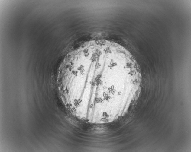 X0000063520659200602172216