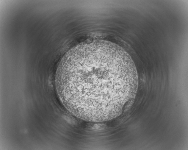 X0000063520663200602172216