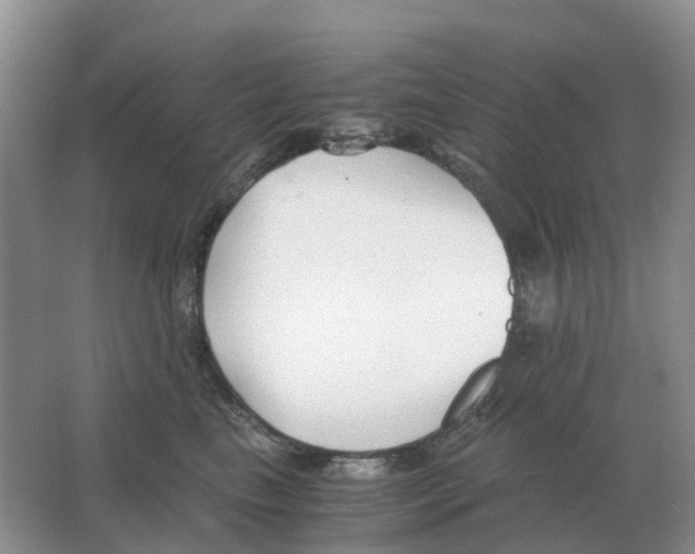 X0000063520665200602172216