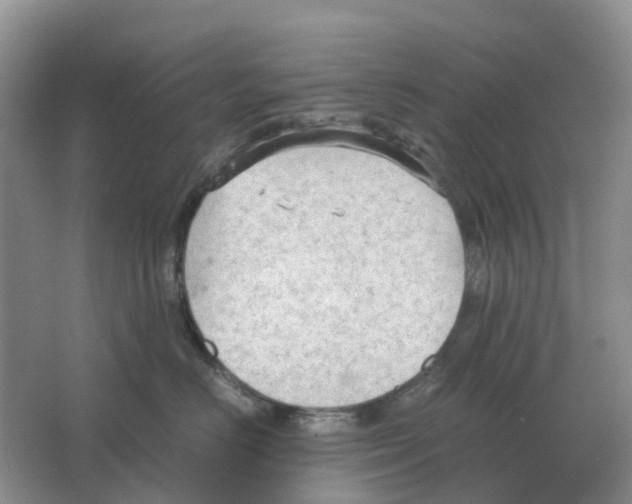 X0000063520670200602172216