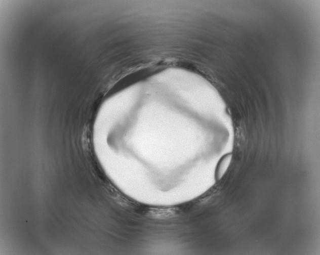 X0000063520671200602172216