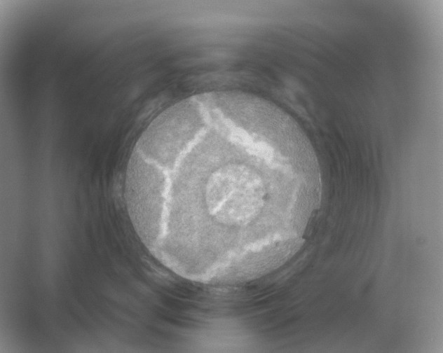 X0000063520672200602172216