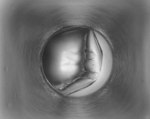 X0000063520673200602172215