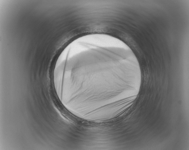 X0000063520674200602172215