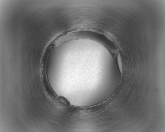 X0000063520680200602172215