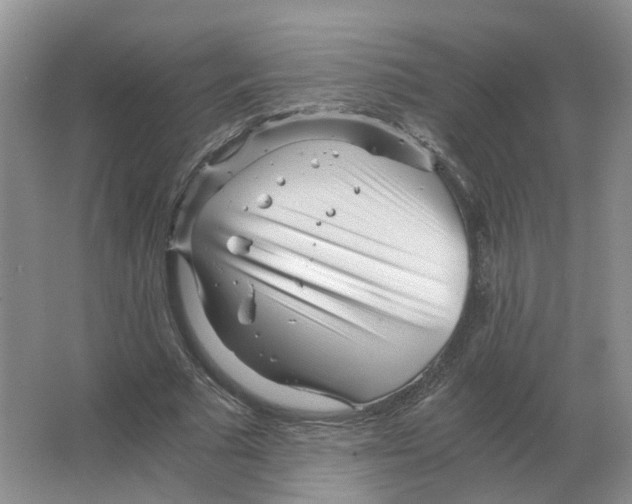 X0000063520681200602172215