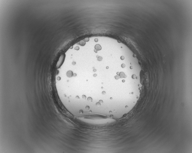 X0000063520684200602172215