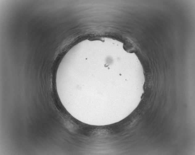 X0000063520685200602172215