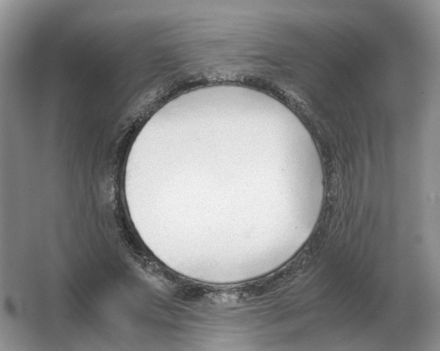 X0000063520687200602172215