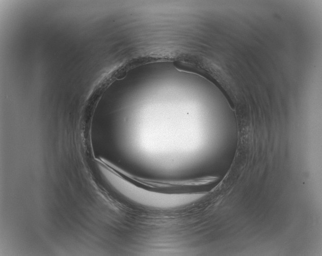 X0000063520688200602172215