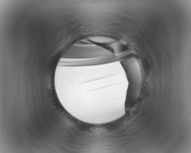 X0000063520689200602172215