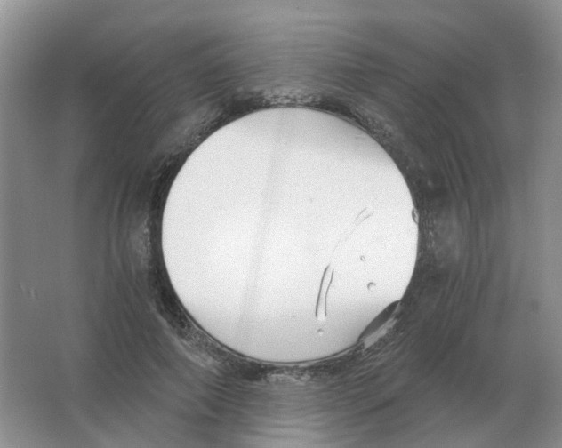 X0000063520690200602172215