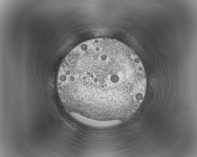 X0000063520691200602172215