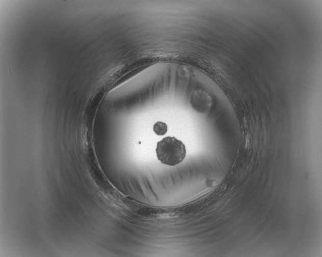 X0000063520692200602172215