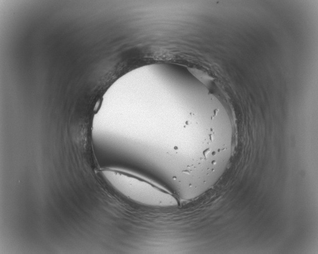 X0000063520697200602172215