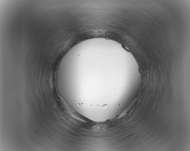 X0000063520700200602172214