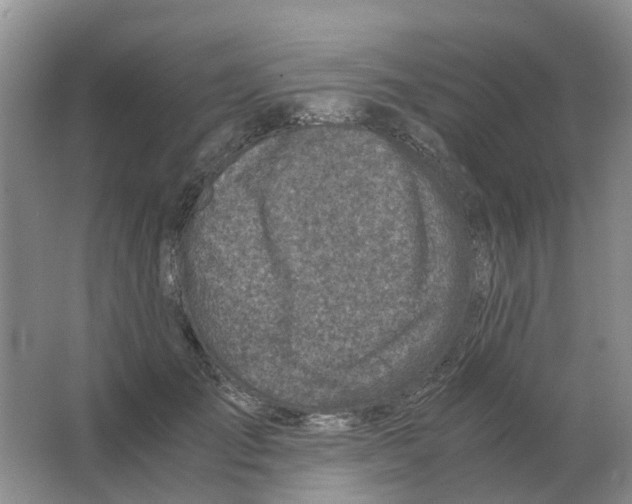 X0000063520701200602172214