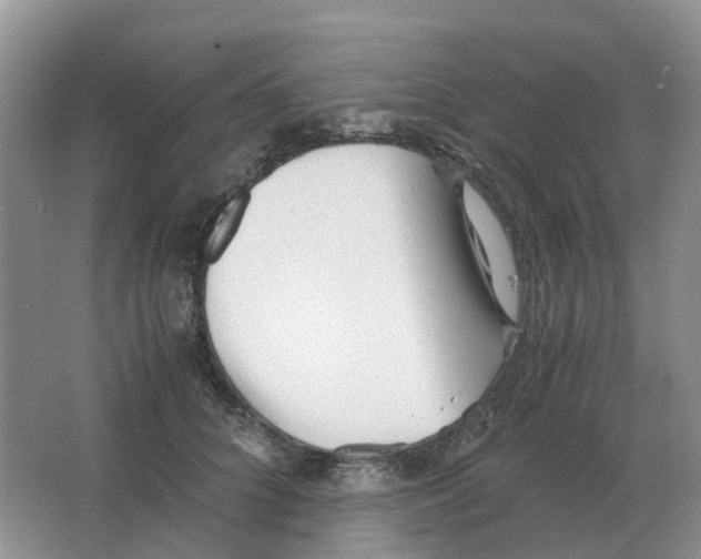 X0000063520704200602172214