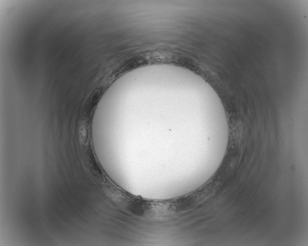 X0000063520709200602172214