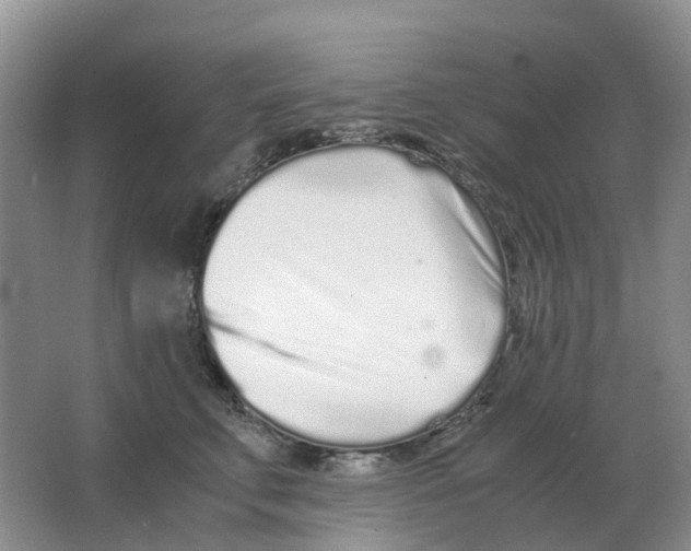 X0000063520711200602172214