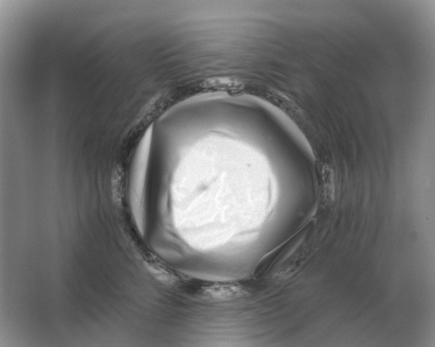 X0000063520712200602172214