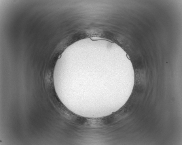 X0000063520713200602172214