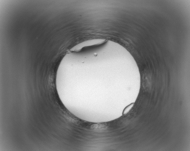 X0000063520714200602172214