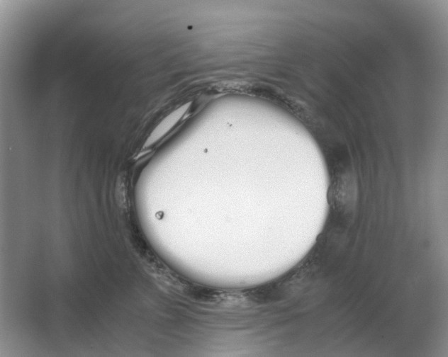 X0000063520715200602172214