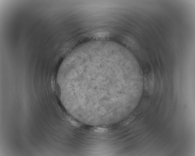 X0000063520718200602172214