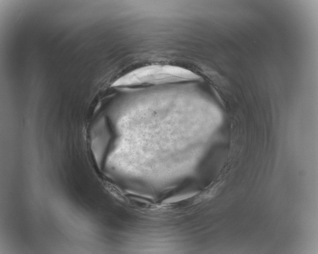 X0000063520720200602172214