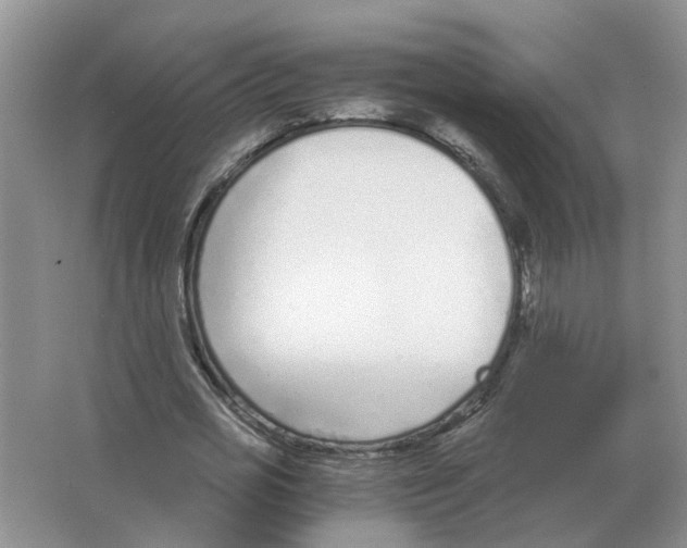 X0000063520725200602172213