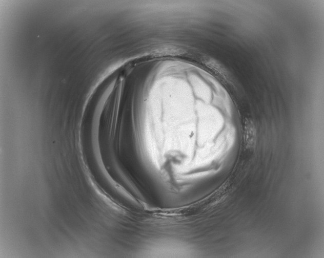 X0000063520726200602172213