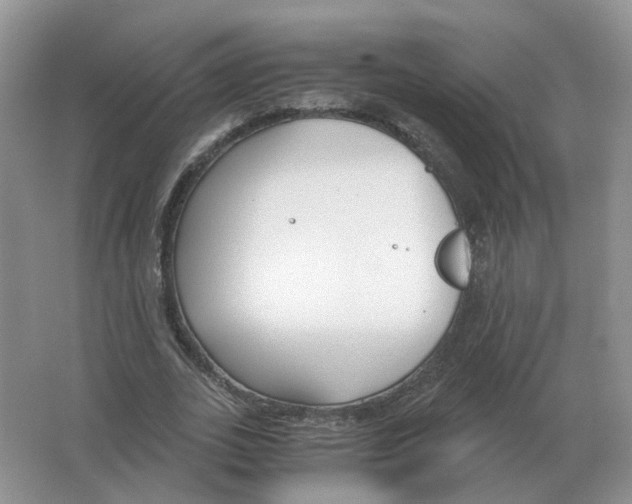 X0000063520727200602172213