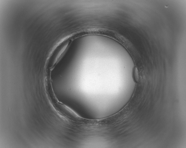 X0000063520728200602172213