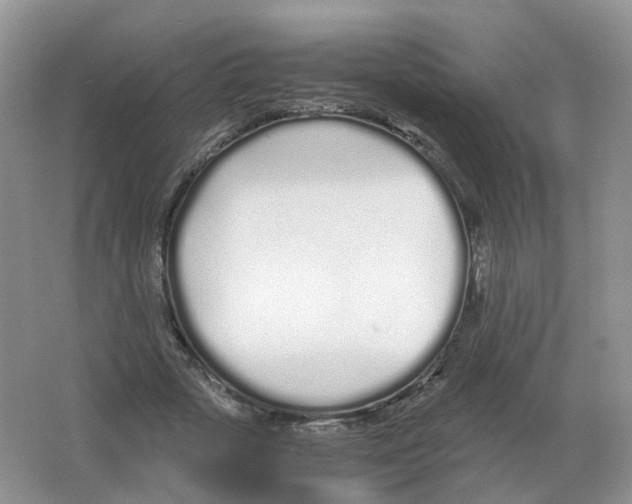 X0000063520729200602172213