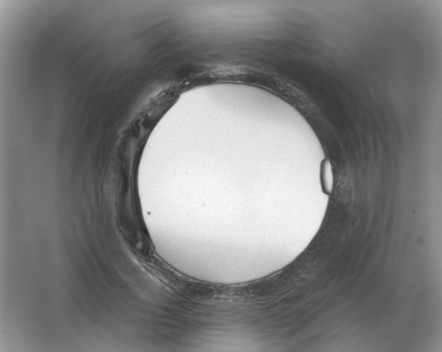 X0000063520732200602172213