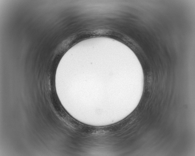 X0000063520734200602172213