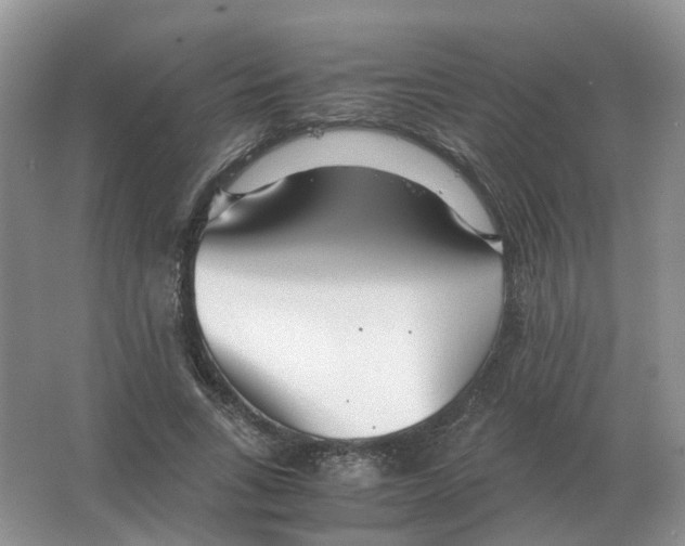 X0000063520735200602172214