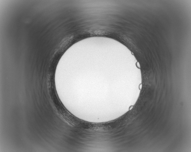 X0000063520738200602172214