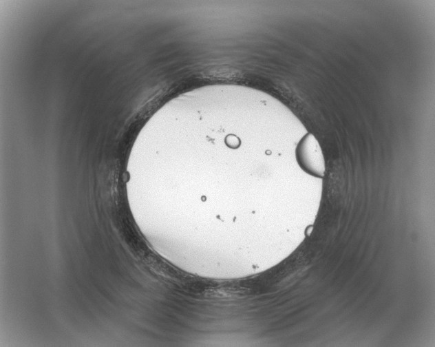 X0000063520739200602172214