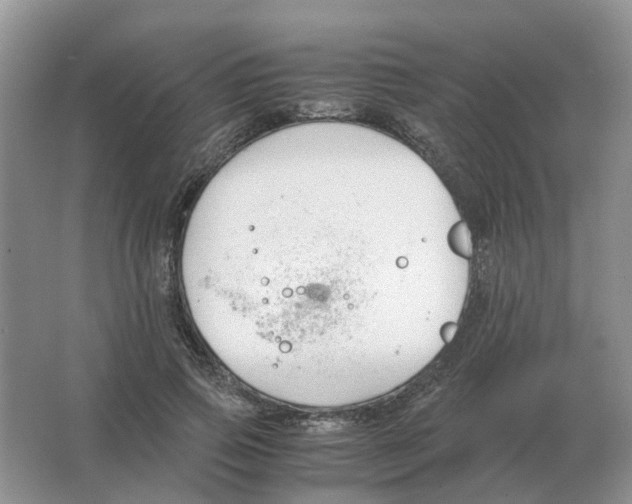 X0000063520741200602172214