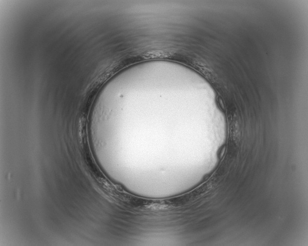 X0000063520742200602172214