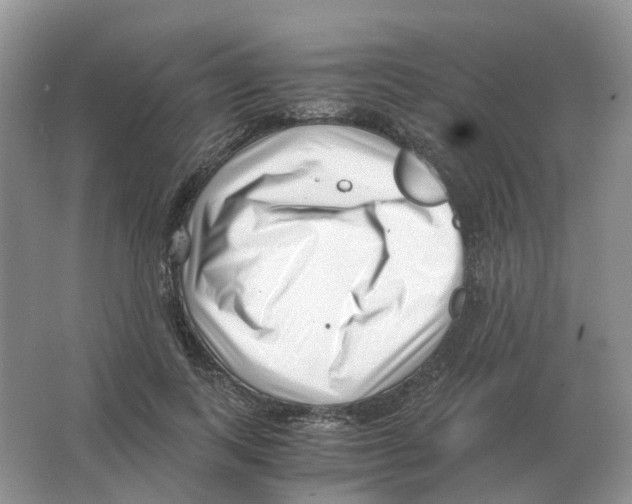 X0000063520743200602172214