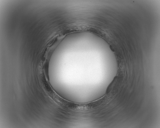 X0000063520744200602172214