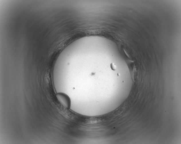 X0000063520746200602172214